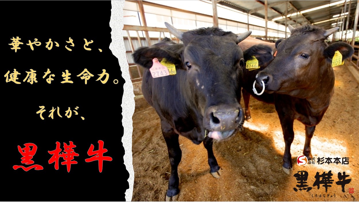杉本本店】ブランド牛『黒樺牛』のご紹介 | トピックス | ヤマエ