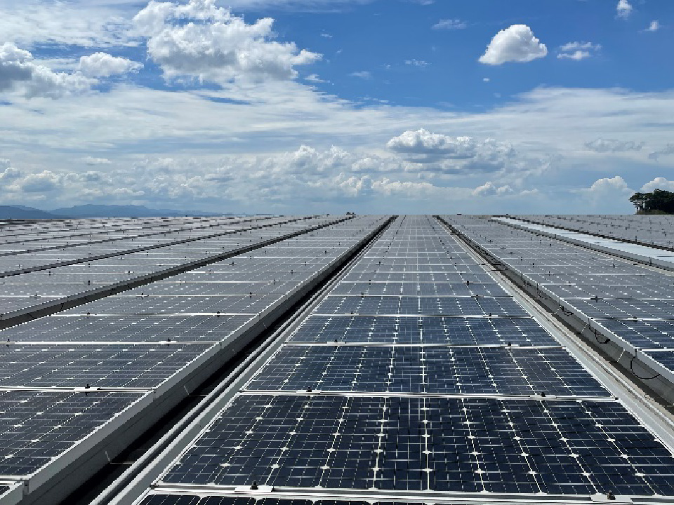 「今後の展望」のイメージ画像